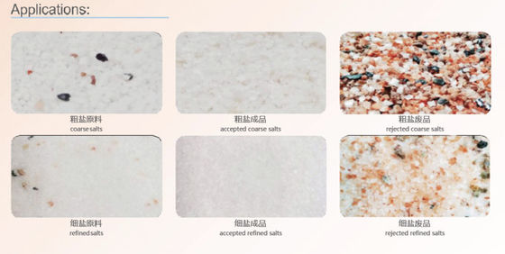 Sea Salt Processing Stainless Steel 5T/H Optical Color Sorter