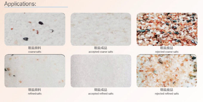 Sea Salt Processing Stainless Steel 5T/H Optical Color Sorter